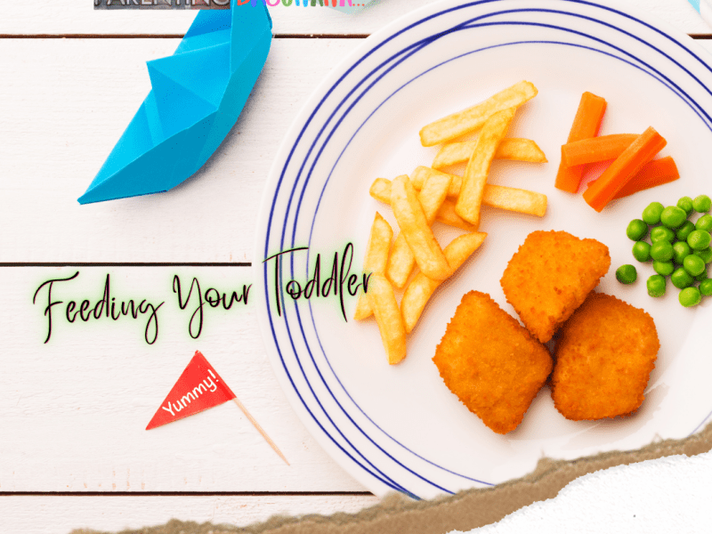 Feeding Your Toddler