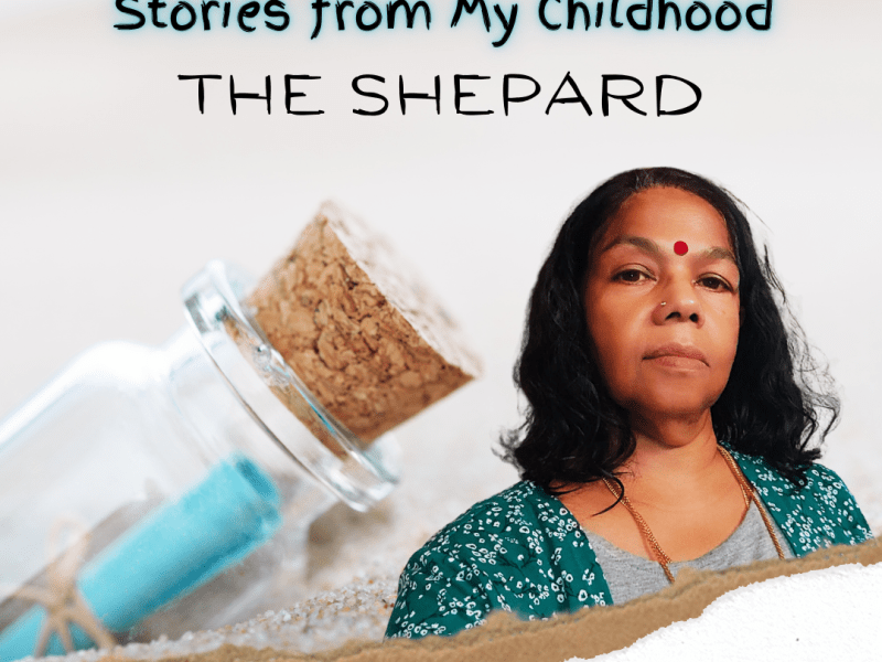The Shepard