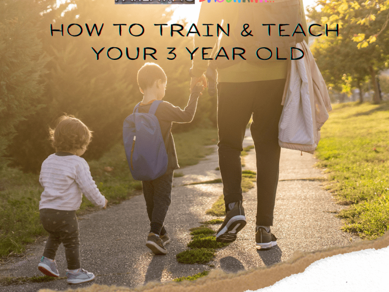 How To Train And Teach Your 3 Year&nbsp;Old