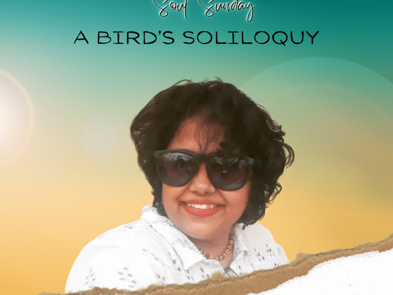 A Birds Soliloquy